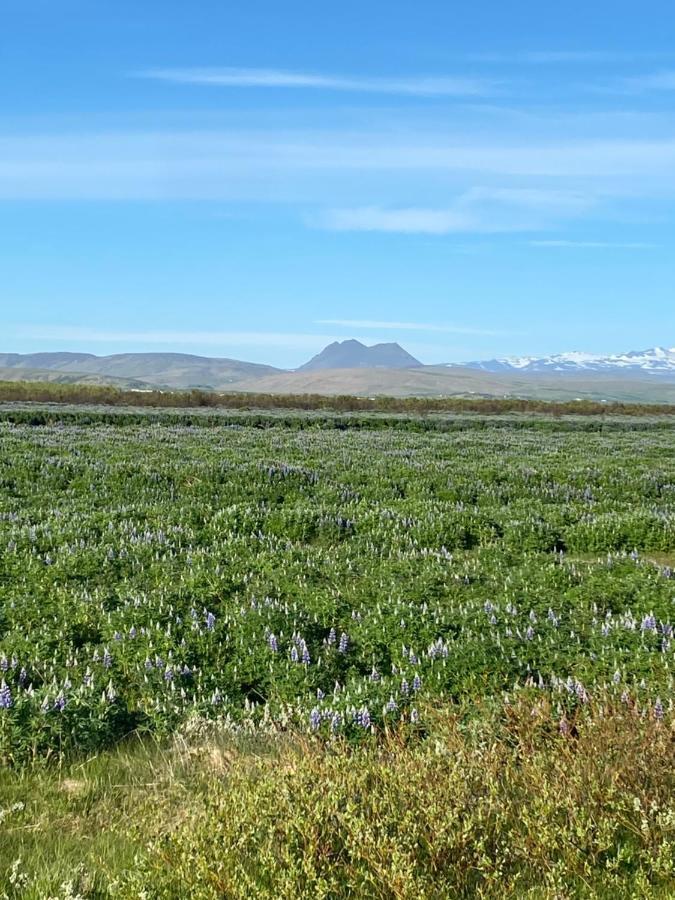 Uxahryggur Villa Hvolsvollur Bagian luar foto